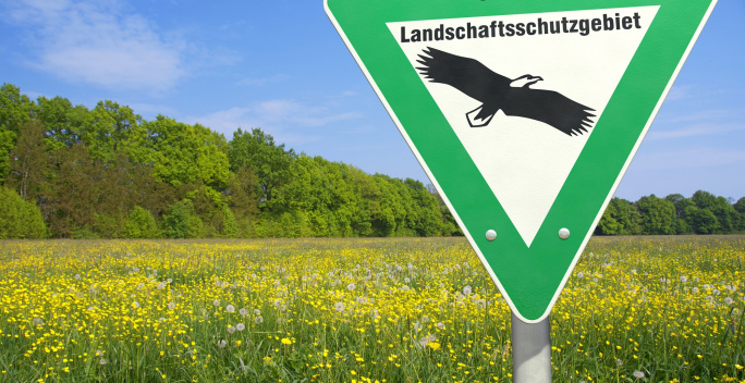 Auf diesem Bild sieht man eine Blumenwiese und ein Schild mit der Aufschrift „Landschaftsschutzgebiet“.