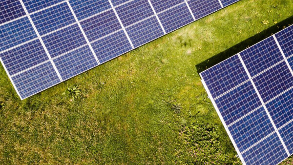 Freiflächensolaranlagen auf einer Wiese von oben.