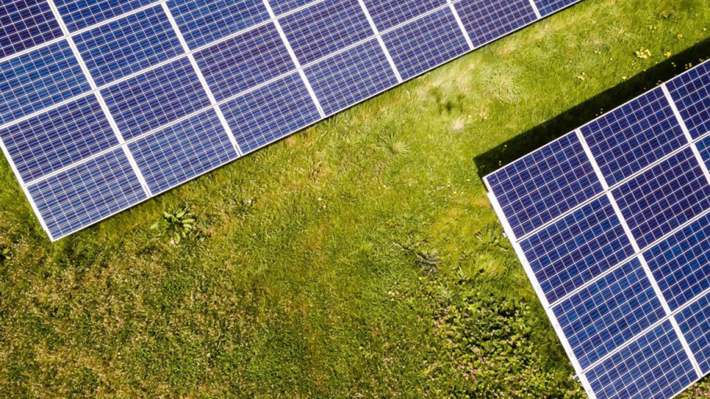 Freiflächensolaranlagen auf einer Wiese von oben.