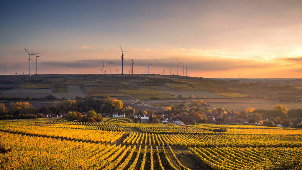 Ein Feld im Sonnenuntergang. Im Hintergrund stehen Windräder.