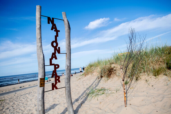 Durch den Nationalpark Niedersächsisches Wattenmeer sollen viele Stromkabel zur Anbindung von Windparks auf See verlaufen. (Archivbild)