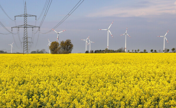 Mehr als 50 Veranstaltungen sind zum Landes-Energie-Tag in Mecklenburg-Vorpommern geplant. (Symbolbild)